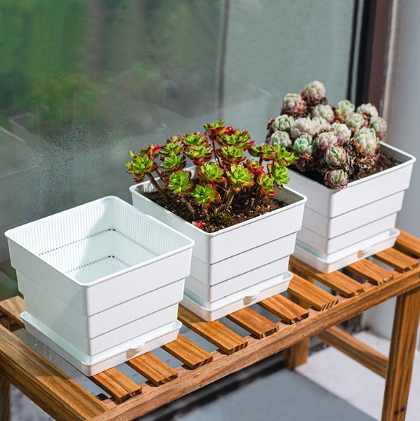 Изображение товара Вазон BOTANICA Air для кактусов и суккулентов (10x9.6см, с поддоном, белый)