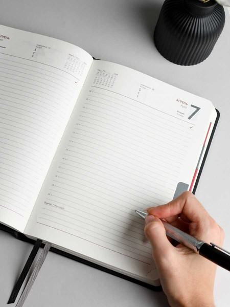 Изображение товара Ежедневник Escalada Наппа 2026 / 70245 (176л, черный)