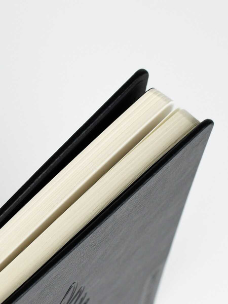 Изображение товара Ежедневник Escalada Наппа 2026 / 70245 (176л, черный)