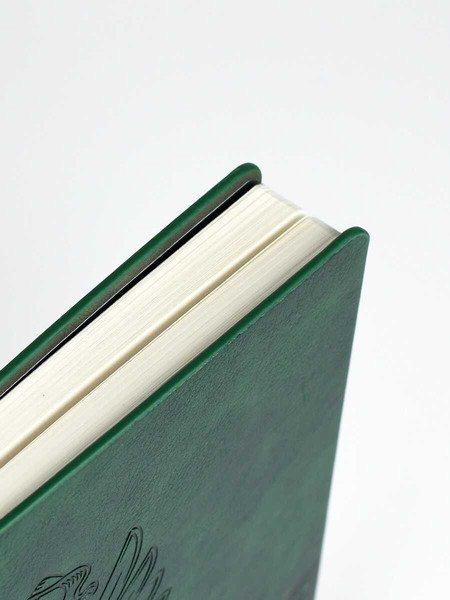 Изображение товара Ежедневник Escalada Наппа 2026 / 70248 (176л, зеленый)