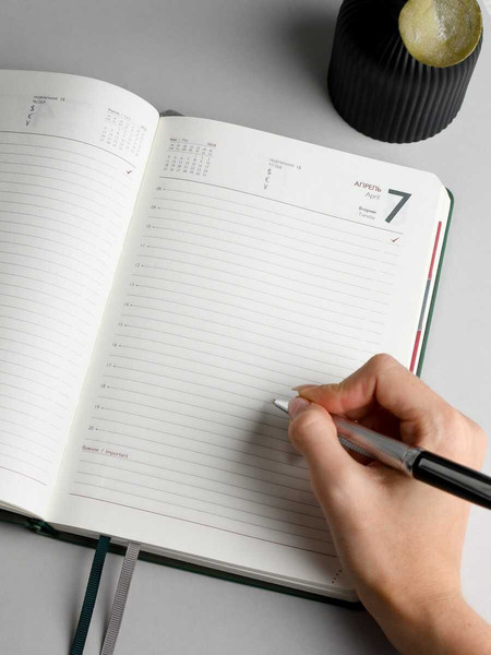 Изображение товара Ежедневник Escalada Наппа 2026 / 70248 (176л, зеленый)