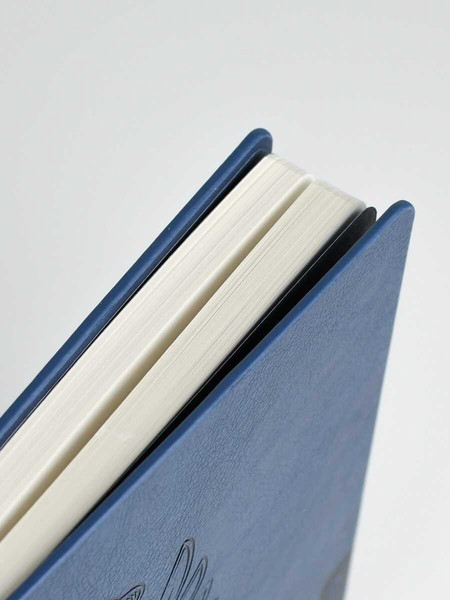 Изображение товара Ежедневник Escalada Наппа 2026 / 70247 (176л, синий)