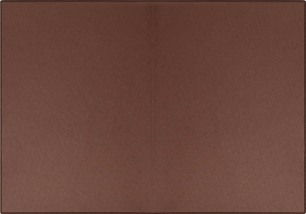 Изображение товара Ежедневник Escalada Замша 2026 / 70266 (176л, коричневый)