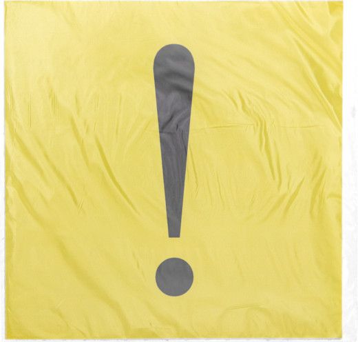 Изображение товара Информационный знак Rexant Начинающий водитель 56-0034