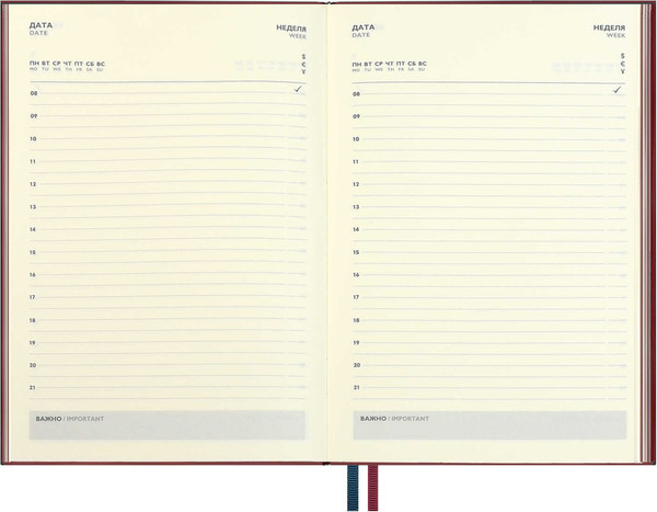 Изображение товара Ежедневник Escalada Шеврет / 70653 (160л, бордовый)