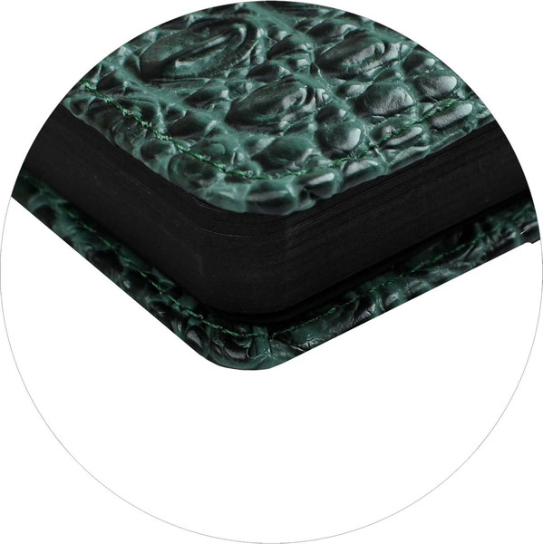 Изображение товара Ежедневник Escalada Аллигатор / 70573 (160л, зеленый)