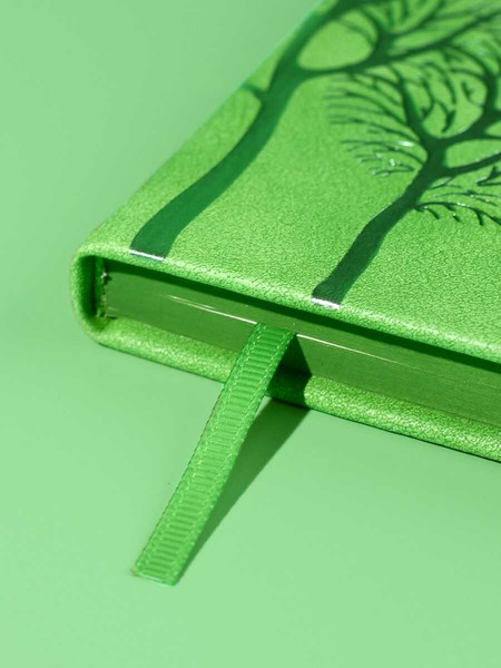 Изображение товара Ежедневник Escalada Тиволи / 70679 (120л, салатовый)