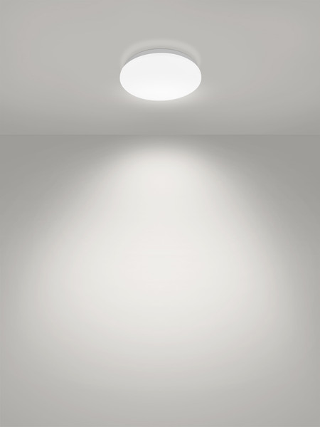 Изображение товара Потолочный светильник TDM Классика SQ0329-9002