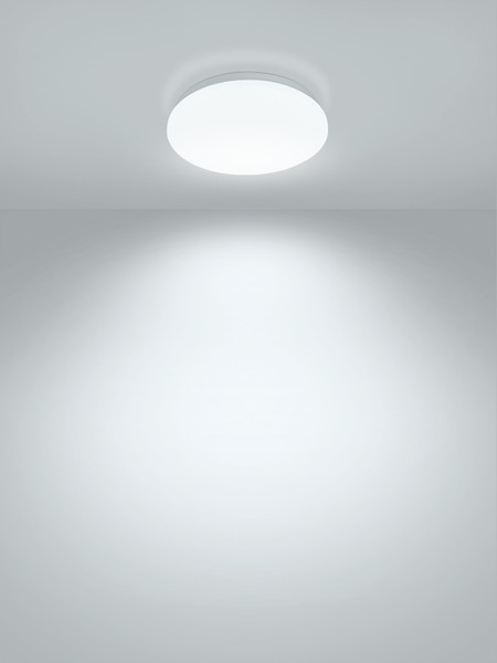 Изображение товара Потолочный светильник TDM Классика SQ0329-9007