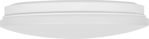 Изображение товара Светильник ЖКХ TDM Классика SQ0329-9013