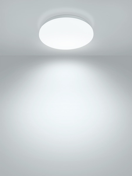 Изображение товара Потолочный светильник TDM Классика SQ0329-9014