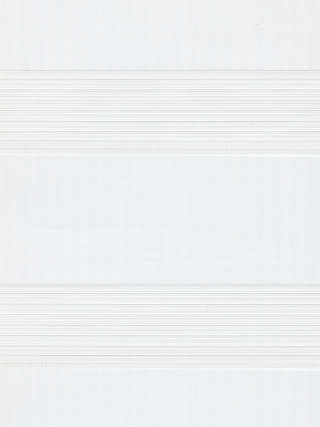 Изображение товара Рулонная штора Delfa Сантайм День-Ночь Стандарт D609 (45x160, белый)