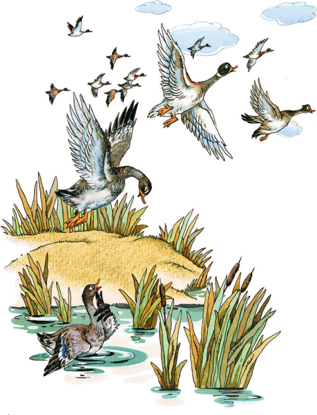 Изображение товара Книга АСТ Лягушка-путешественница и другие сказки (Мамин-Сибиряк Дмитрий, Житков Борис, Гаршин Всеволод)