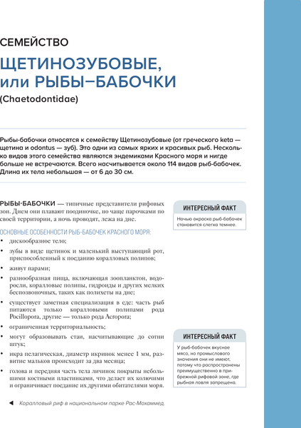 Изображение товара Энциклопедия АСТ Рыбы коралловых рифов, твердая обложка (Матанцев Александр Николаевич, Матанцева Светлана Григорьевна)