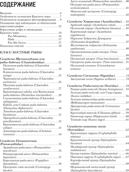 Изображение товара Энциклопедия АСТ Рыбы коралловых рифов, твердая обложка (Матанцев Александр Николаевич, Матанцева Светлана Григорьевна)