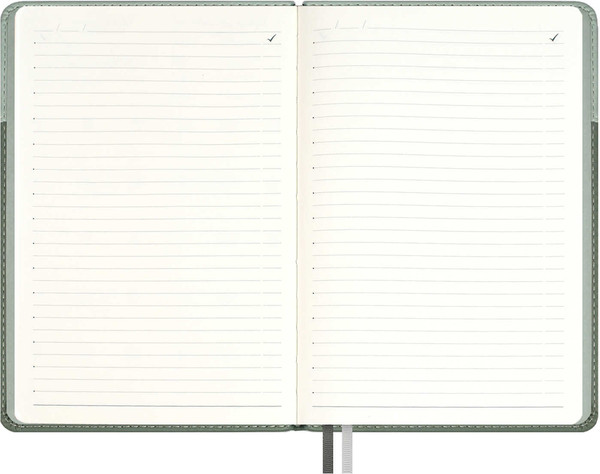 Изображение товара Ежедневник Escalada Лайка / 70597 (160л, светло-зеленый)