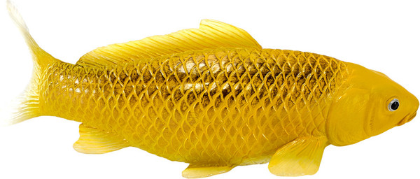 Изображение товара Фигурка коллекционная Konik Карп кои - Кин Мацуба AMS3038