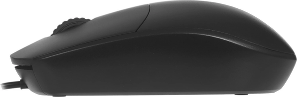 Изображение товара Мышь Rapoo N100C Type-C (черный)