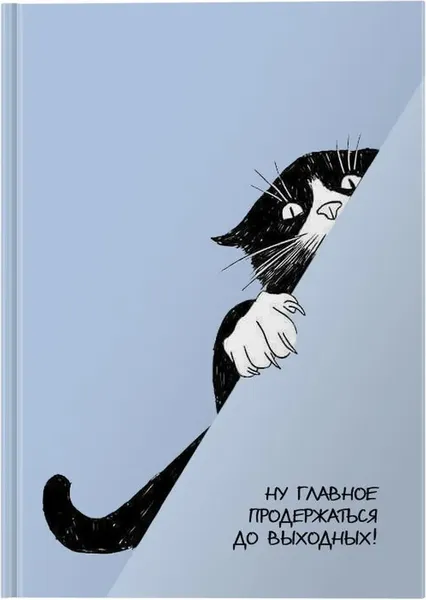 Изображение товара Ежедневник Lite Черный кот / DNBL-CC (128л)