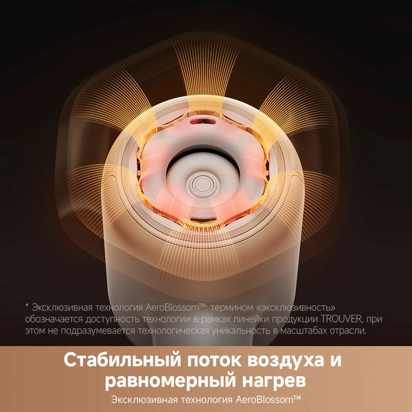 Изображение товара Фен Trouver Shine 20 / AMSH20 (золотой)