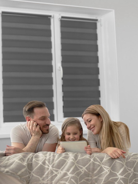 Изображение товара Рулонная штора Lm Decor ДН LB 11-10 220х185 (графитовый)