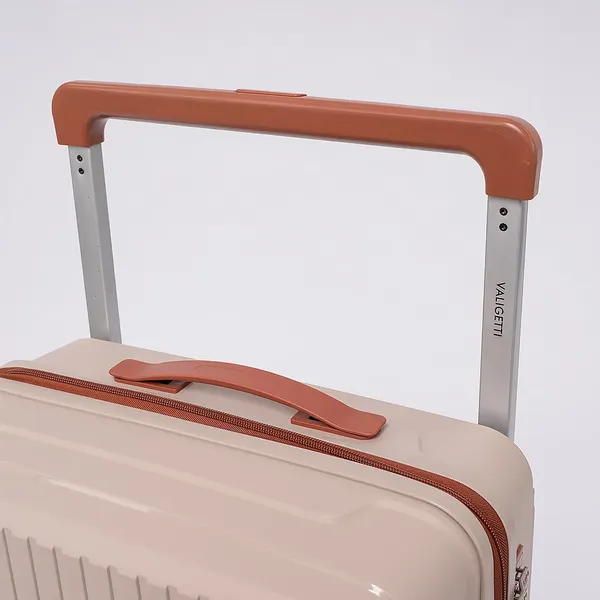 Изображение товара Чемодан на колесах Valigetti 344-8050/2-24CBW (cof brw)