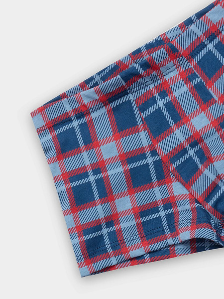 Изображение товара Трусы детские Mark Formelle 413344 (р.104/110-56-51, красно-синяя клетка)