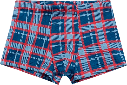 Изображение товара Трусы детские Mark Formelle 413344 (р.104/110-56-51, красно-синяя клетка)