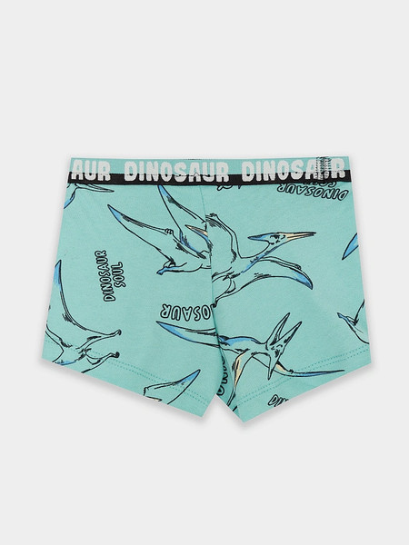 Изображение товара Трусы детские Mark Formelle 413345 (р.104/110-56-51, птеродактили на морских бликах)