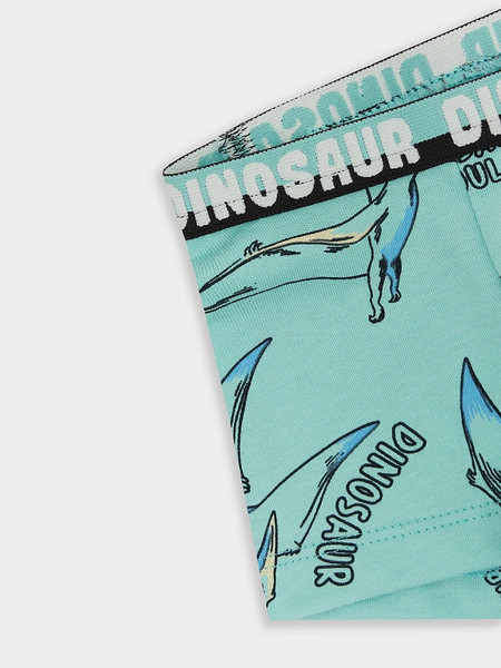 Изображение товара Трусы детские Mark Formelle 413345 (р.104/110-56-51, птеродактили на морских бликах)