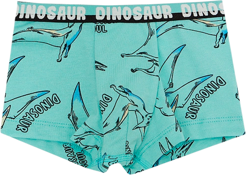 Изображение товара Трусы детские Mark Formelle 413345 (р.104/110-56-51, птеродактили на морских бликах)