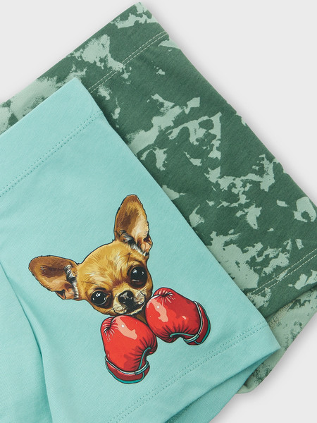 Изображение товара Комплект трусов детских Mark Formelle 413352-2 (р.116/122-60-54, пыльная бирюза/зеленые разводы)