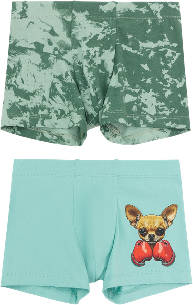 Изображение товара Комплект трусов детских Mark Formelle 413352-2 (р.116/122-60-54, пыльная бирюза/зеленые разводы)