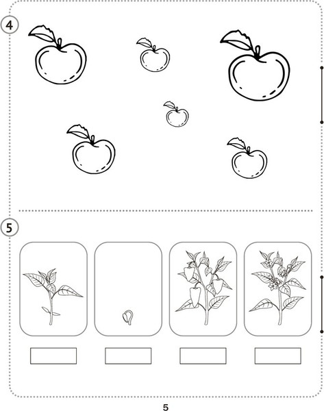 Изображение товара Сборник контрольных работ Аверсэв Математика. 1 класс. В.1. 2025, мягкая обложка (Муравьева Галина)