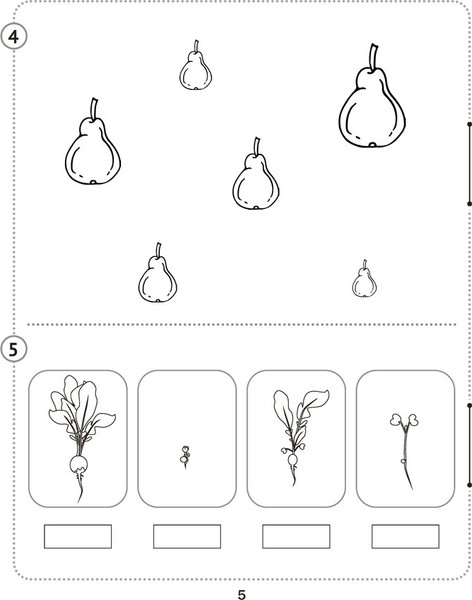 Изображение товара Сборник контрольных работ Аверсэв Математика. 1 класс. В.2. 2025, мягкая обложка (Муравьева Галина)