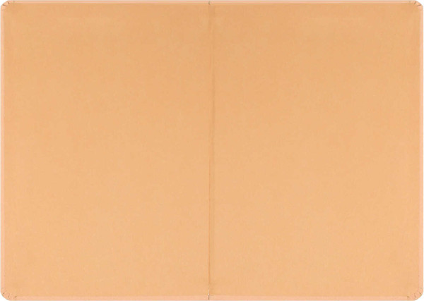 Изображение товара Ежедневник Escalada Бьянчини / 70729 (120л, оранжевый)