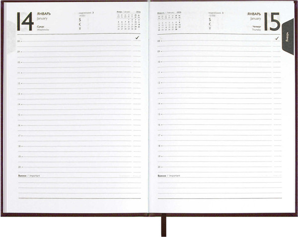 Изображение товара Ежедневник Escalada Наппа 2026 / 70284 (176л, коричневый)