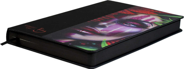 Изображение товара Ежедневник Escalada Портрет в перьях / 70673 (160л)