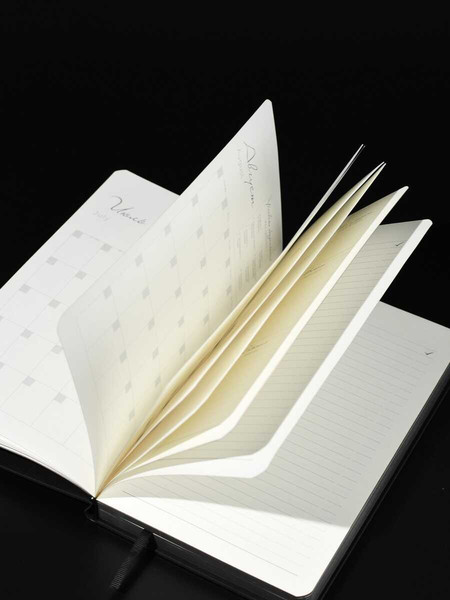 Изображение товара Ежедневник Escalada Портрет в перьях / 70673 (160л)