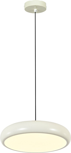 Изображение товара Потолочный светильник ESCADA 10304/1 LED (черный/белый)