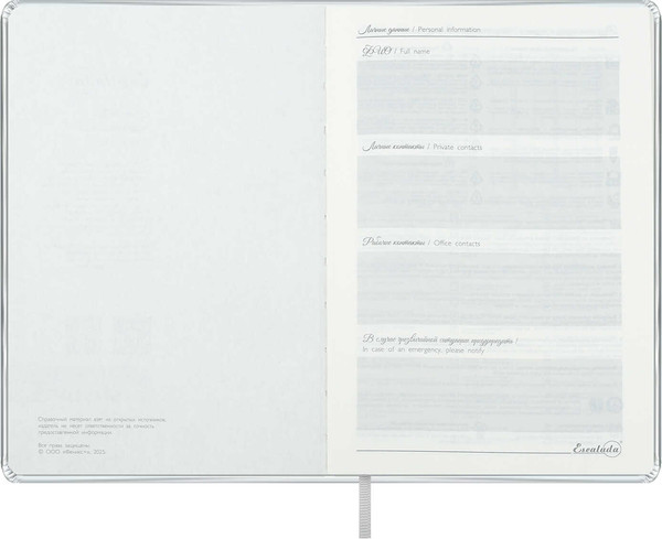 Изображение товара Ежедневник Escalada Лайка / 70594 (164л, серебряный металлик)