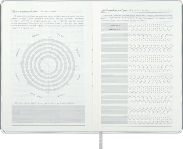 Изображение товара Ежедневник Escalada Лайка / 70594 (164л, серебряный металлик)