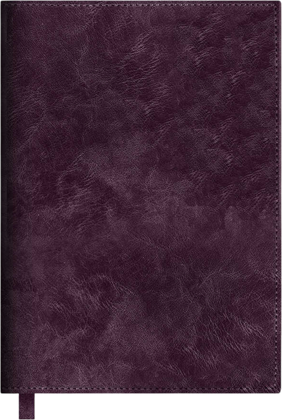 Изображение товара Ежедневник Escalada Фланстер / 70582 (160л, бордовый)