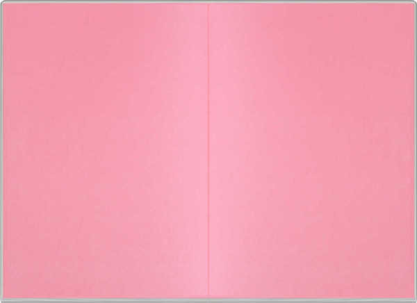 Изображение товара Ежедневник Escalada Розовое молоко / 70553 (120л)