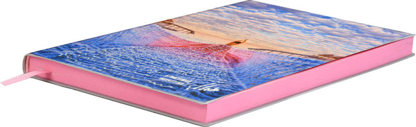 Изображение товара Ежедневник Escalada Замки принцесс / 70554 (120л)