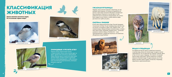 Изображение товара Энциклопедия Махаон S.O.S. Красная книга, твердая обложка (Грундманн Эманюэль)