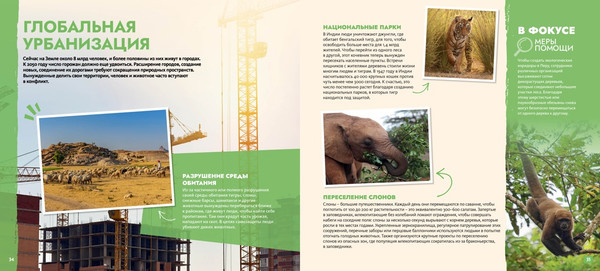 Изображение товара Энциклопедия Махаон S.O.S. Красная книга, твердая обложка (Грундманн Эманюэль)