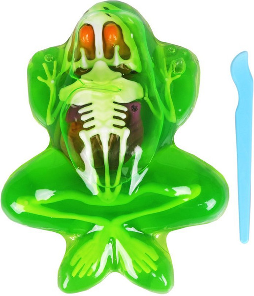 Изображение товара Набор для опытов On Time Анатомия лягушки / 45281