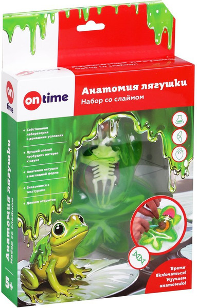 Изображение товара Набор для опытов On Time Анатомия лягушки / 45281