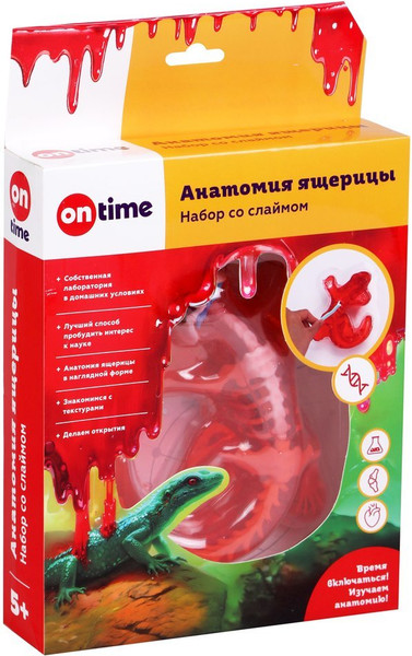 Изображение товара Набор для опытов On Time Анатомия ящерицы / 45283